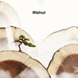 Walnut Wood 3D Embossing Cases for iPhone 14 13 series